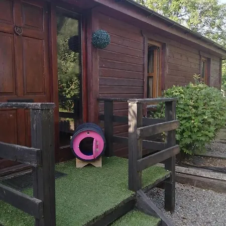 With Your Pet Chalet