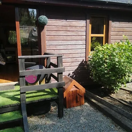 Chalet With Your Pet