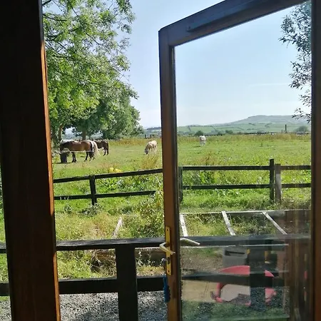 With Your Pet Chalet Killarney