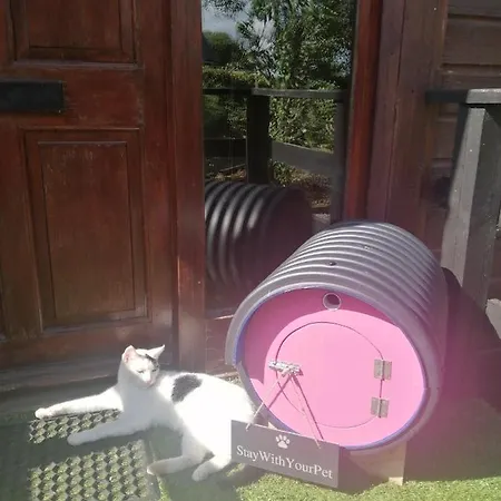 With Your Pet Chalet